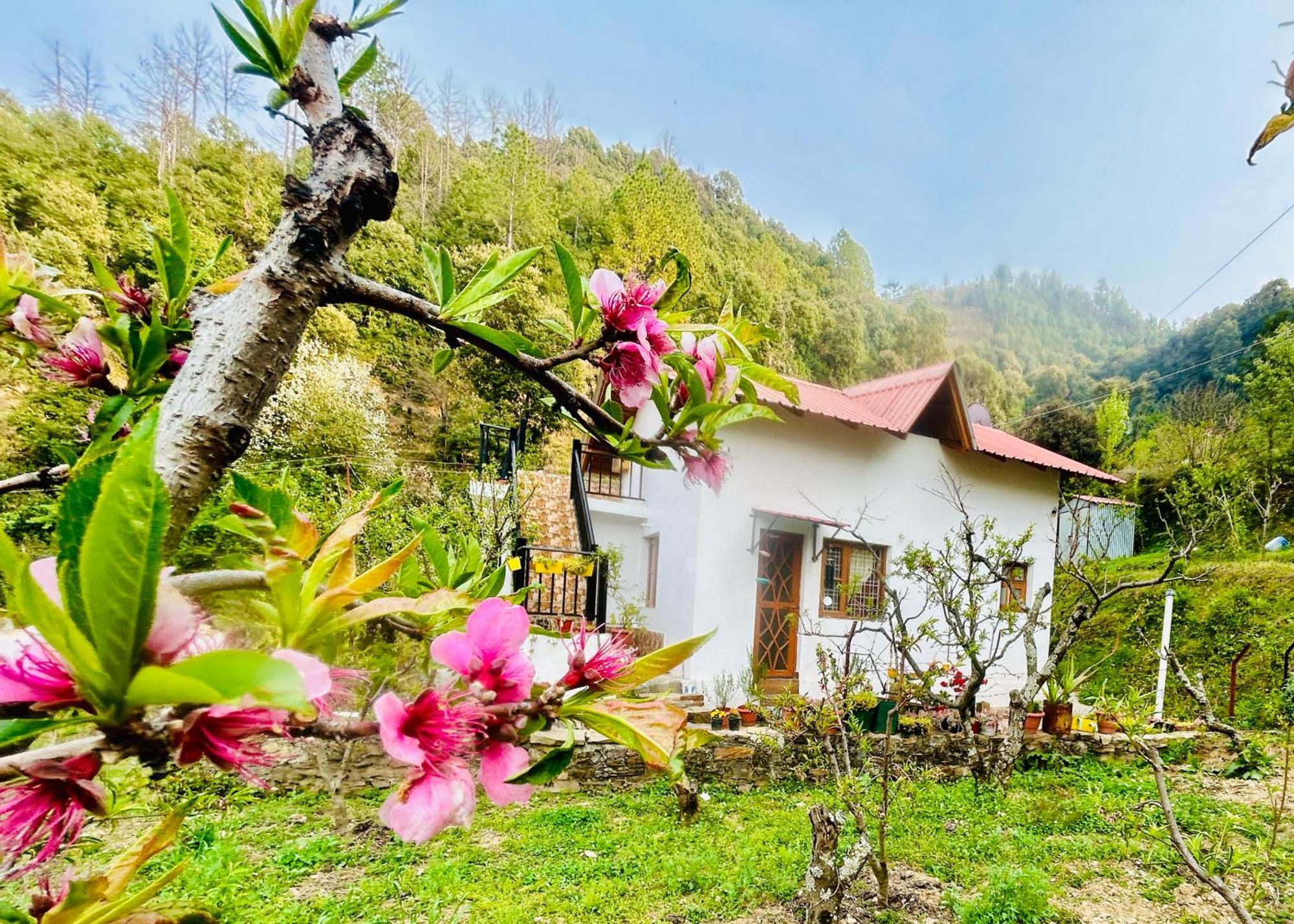 Love'S Farm, Cottage In Ramgarh Dış mekan fotoğraf